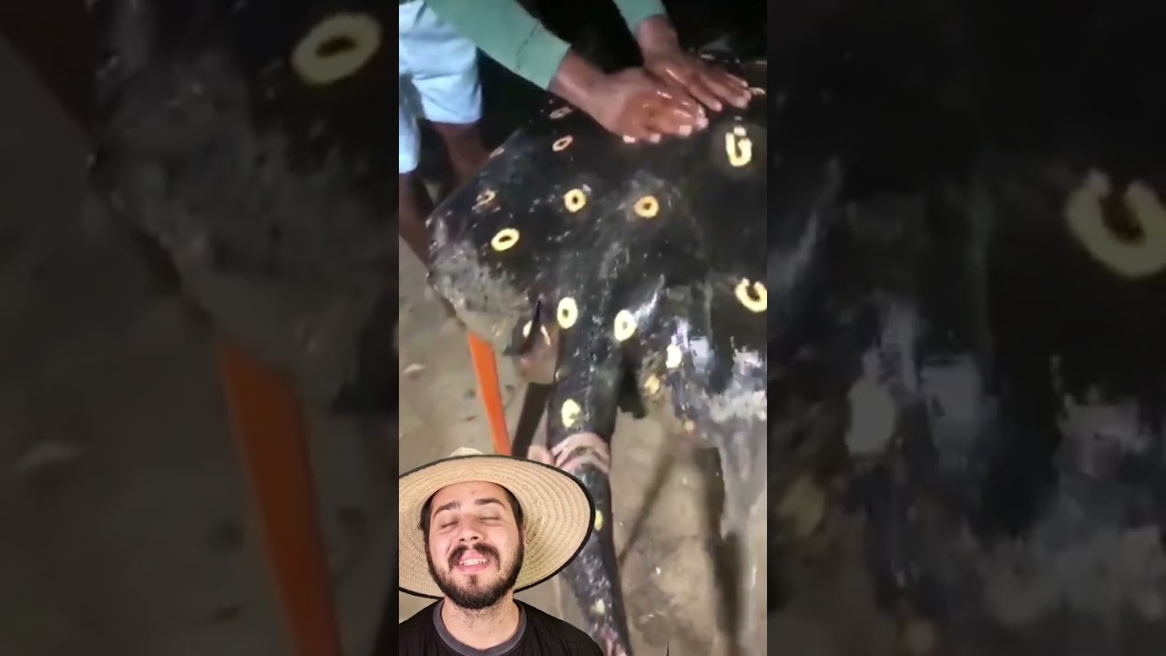 Cada esporada &eacute; uma letra de recorda&ccedil;&atilde;o kkkk
