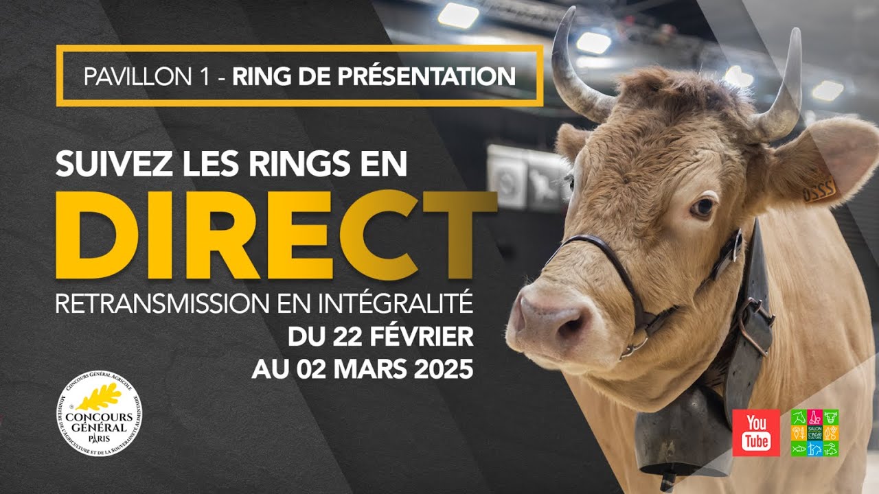 Ring de présentation 24/02/2025