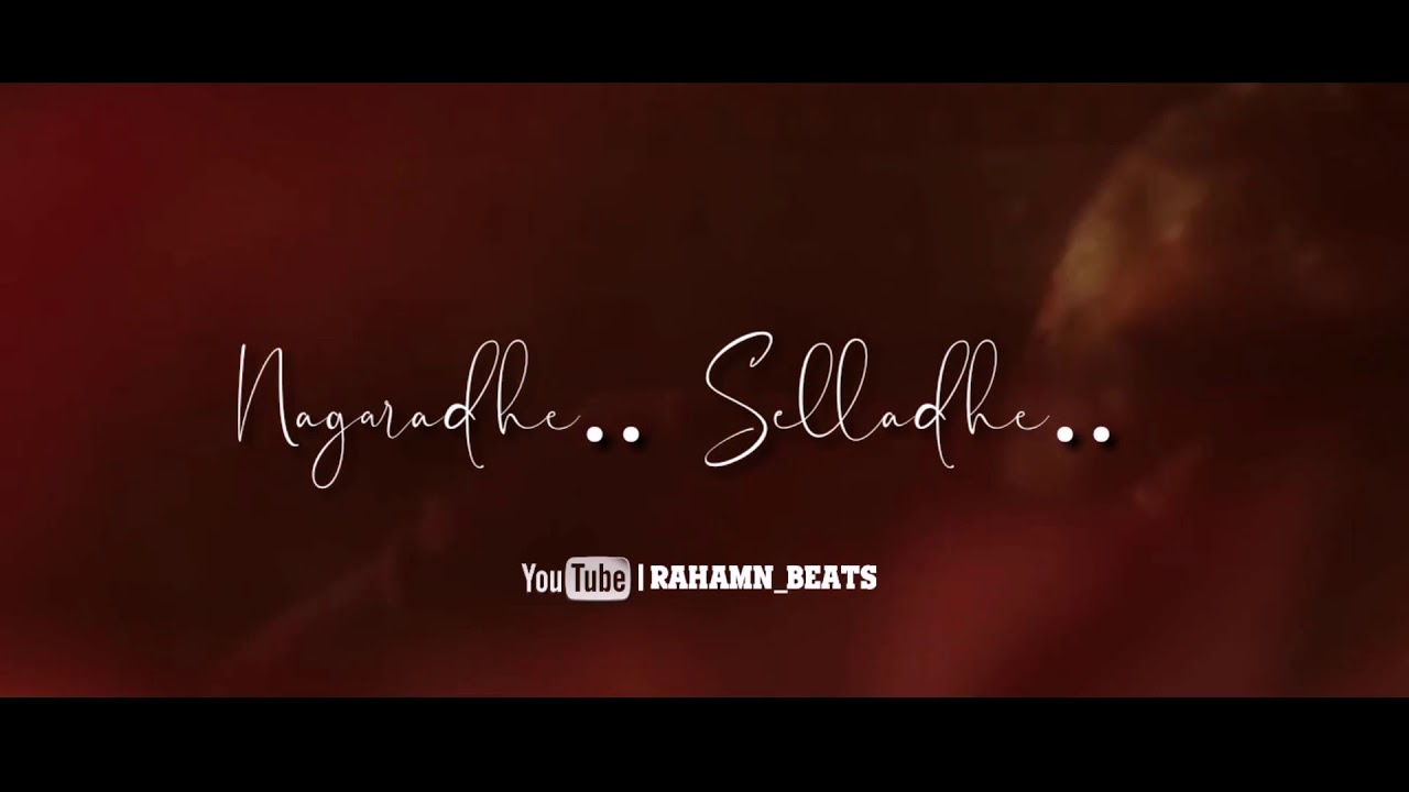 NKP Agalathey WhatsApp Status&deg;&deg;💞 | Ajith Kumar | Vidya Balan