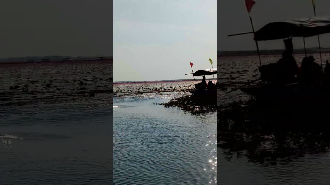 #ทุ่งบัวแดง อุดรธานี #travelvlog #travel #onedaytrip 