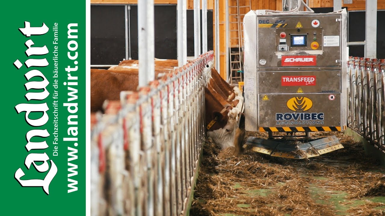 Rinderstall: Schauer Fütterungsroboter | landwirt.com