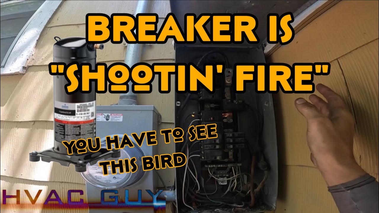 Compressor Replacement From Diagnosis to Finished Job