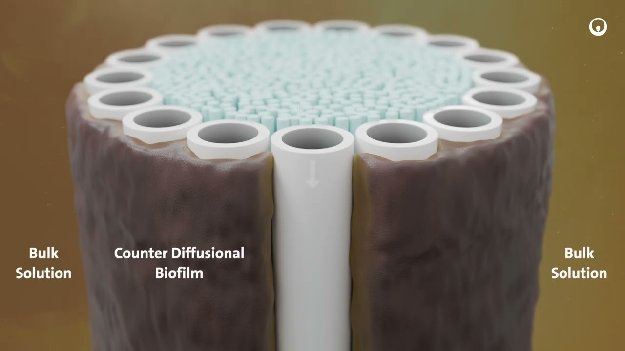 Explore ZeeLung Membrane Aerated Biofilm Reactor by Veolia