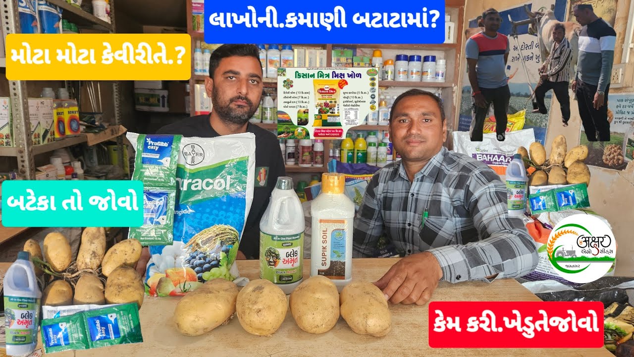 🥔બટાટામાં🥔લાખોની કમાણી કરતા🫚ખેડૂત  @AksarAgroSeedsJamnagar #shortvideo #valorant #videos #facts 