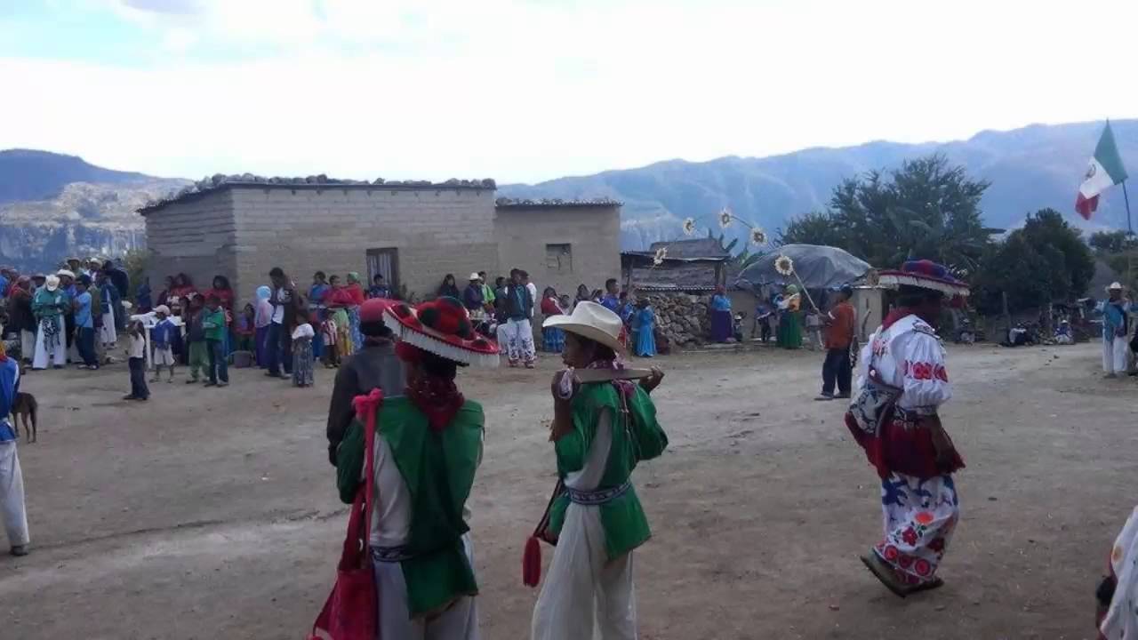 PINTE MI CUARTO - LOS TEOPA