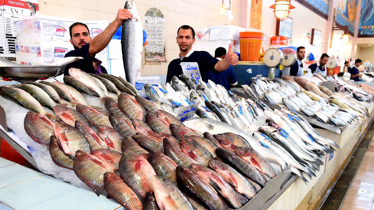 Souq Sharq Fish market in kuwait #souqsharqfishmarket
