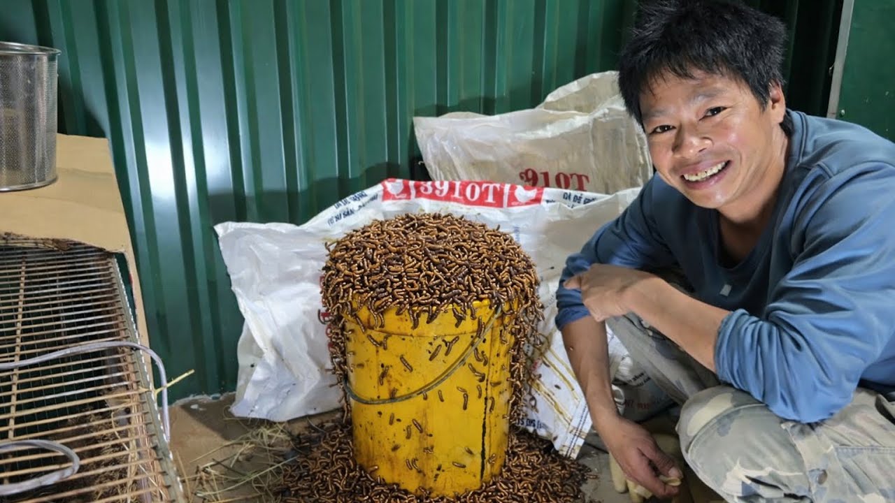 SUÝT NỮA LÀ HƯ HẾT MAY MÀ PHÁT HIỆN ĐÚNG LÚC 