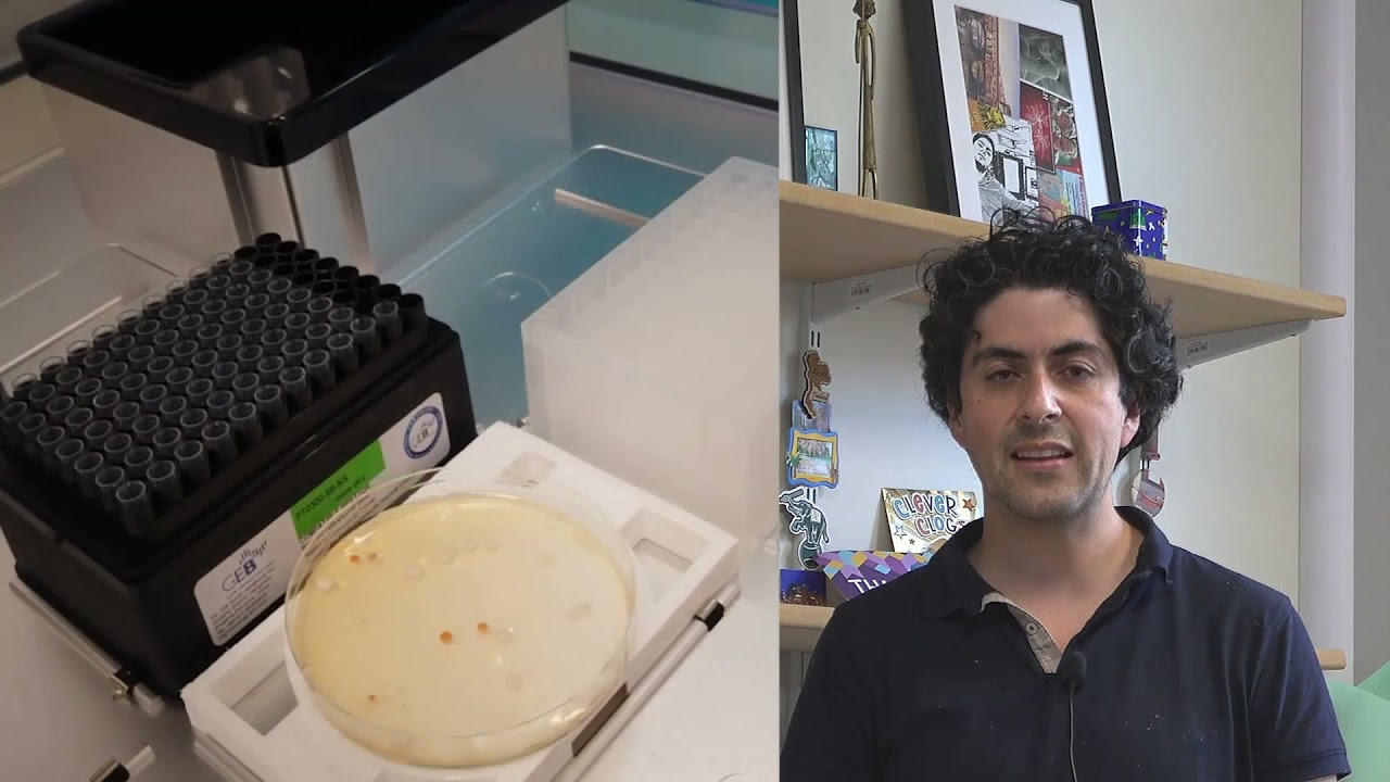 Above and Beyond: The School's response to Covid-19 challenges