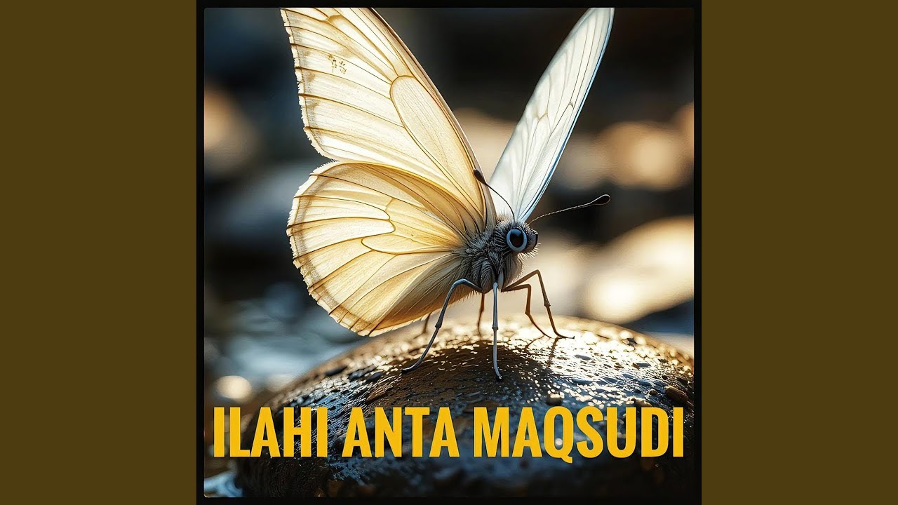 Ilahi Anta Maksudi