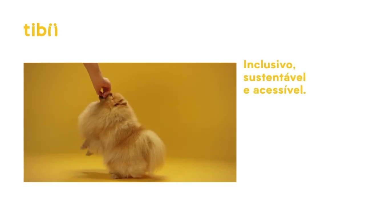 Inclus&atilde;o social no mercado pet: conhe&ccedil;a as embalagens de ra&ccedil;&atilde;o com braille | tibii