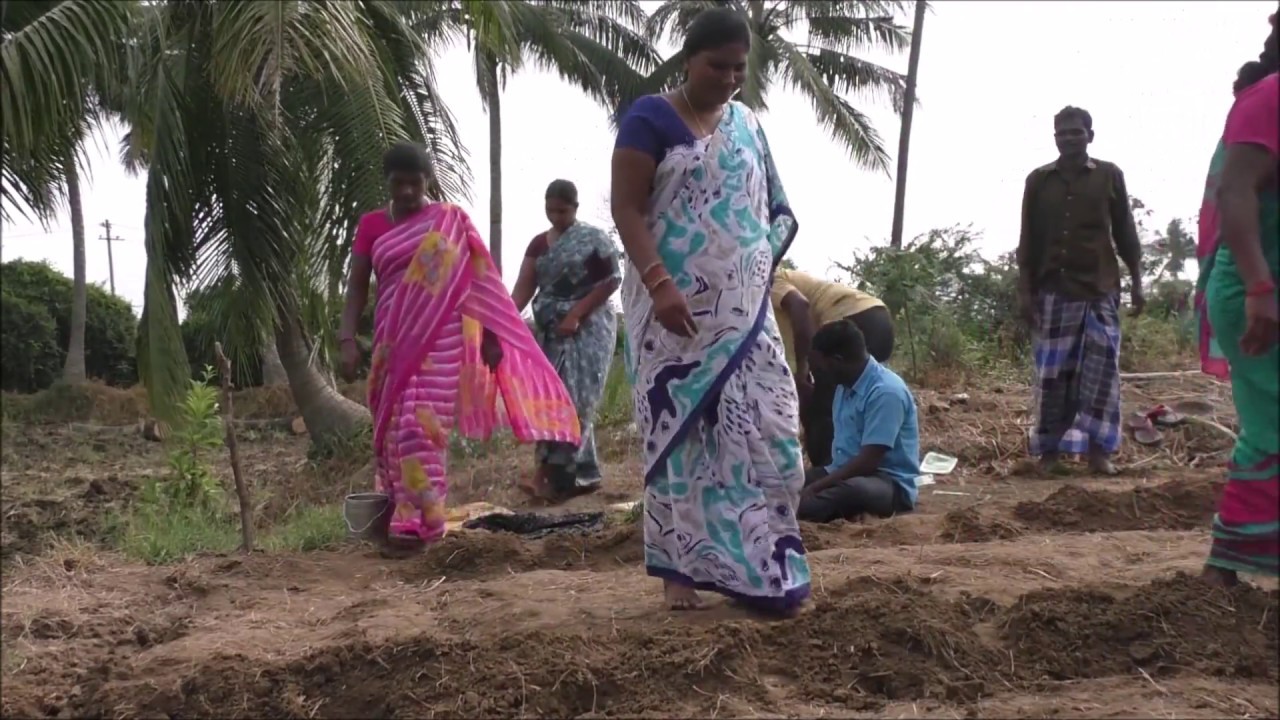 36 x 36 model Land Preparation_ Natural Farming method _ Nellore