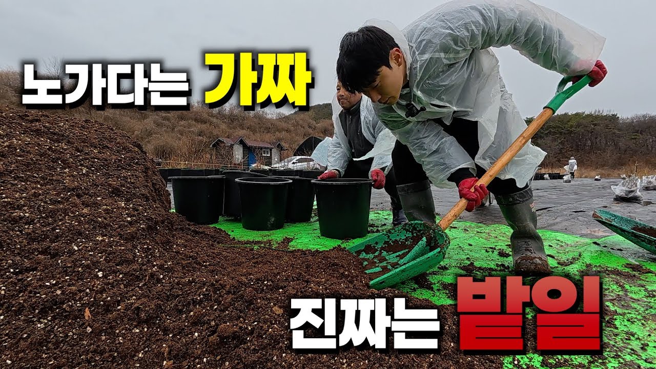 죄송합니다 지금까지 노가다는 가짜였네요