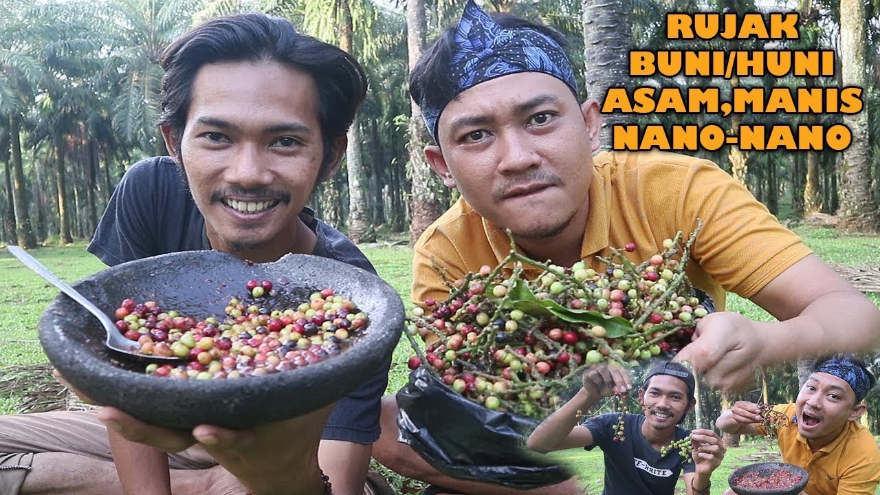 Mukbang Rujak Buah Huni (Buni) 🌿 Asam Segarnya Bikin Merem!