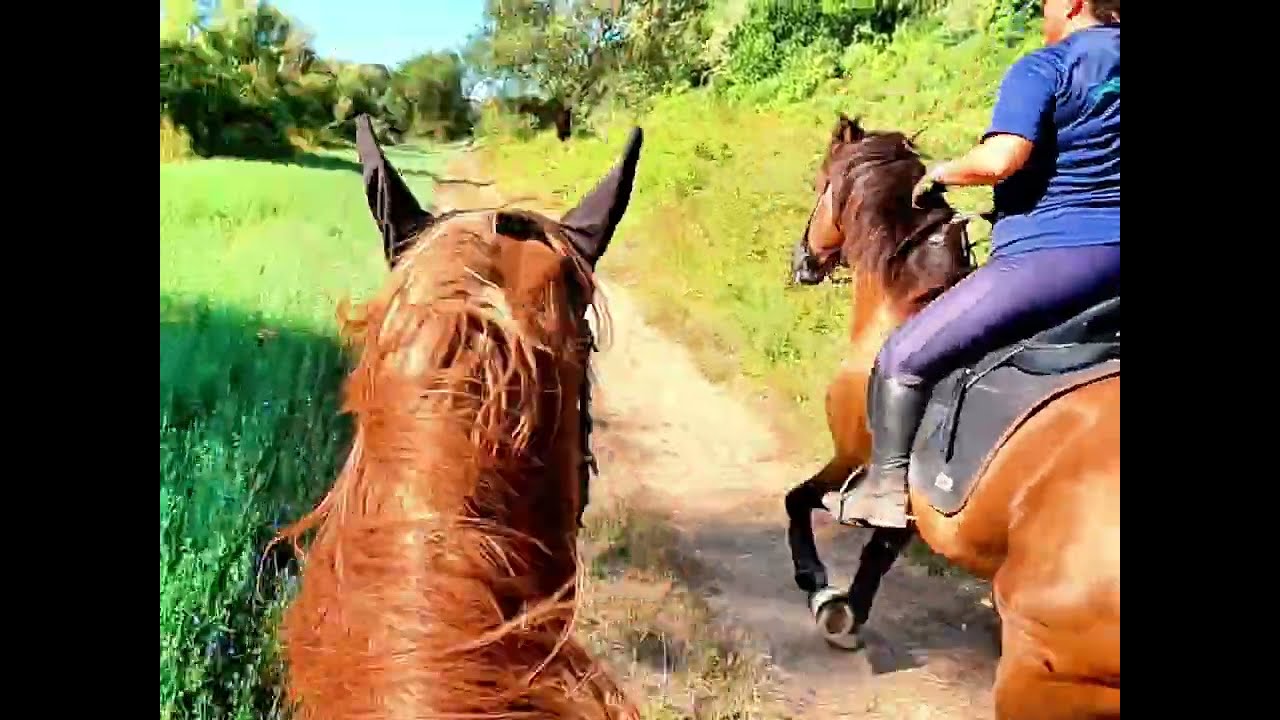 Cavalcata nella riserva di Decima Malafese