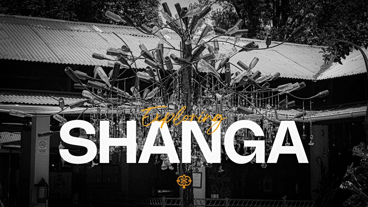 Things YOU DIDNT KNOW about SHANGA - ARUSHA
