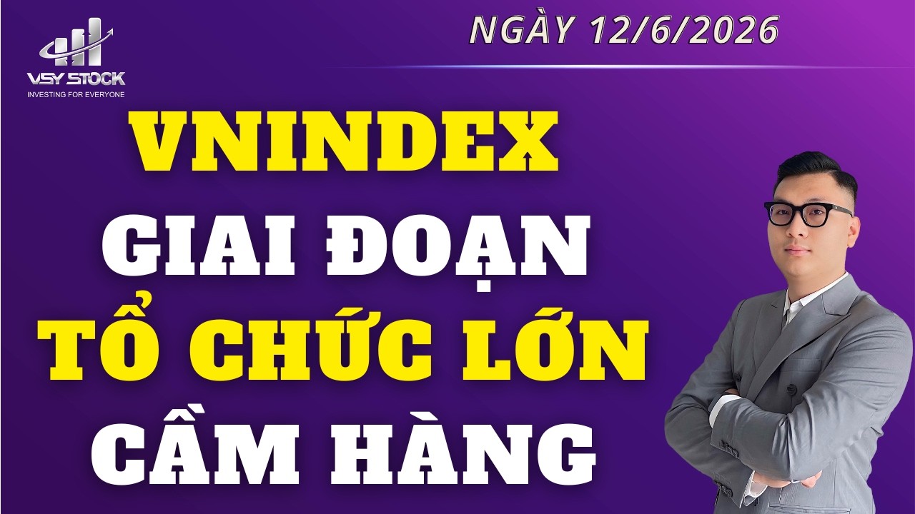 NHẬN ĐỊNH THỊ TRƯỜNG NG&Agrave;Y 12/6: VNINDEX PHI&Ecirc;N PHẢN ỨNG TỐT, GIAI ĐOẠN TỔ CHỨC CẦM H&Agrave;NG