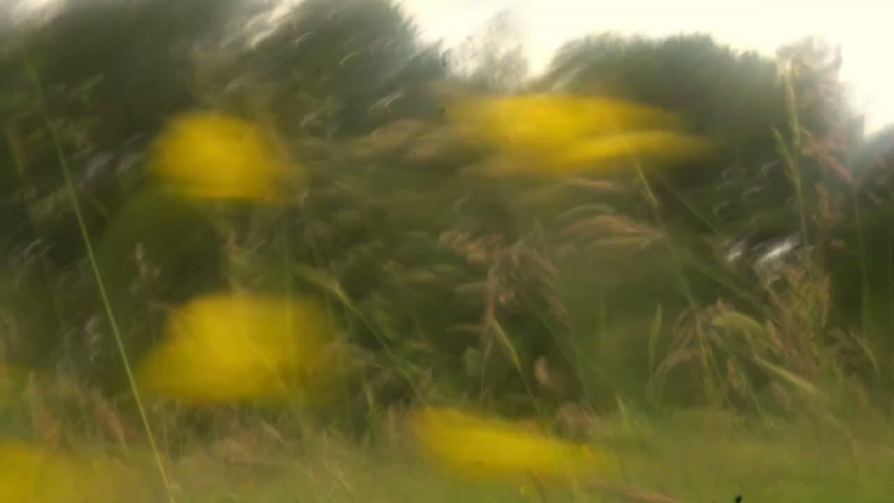 D’épart d’été -verzin de zomer