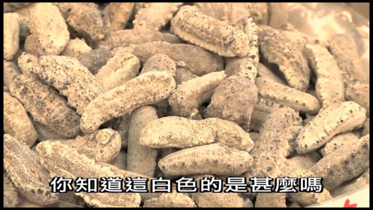 文記海味