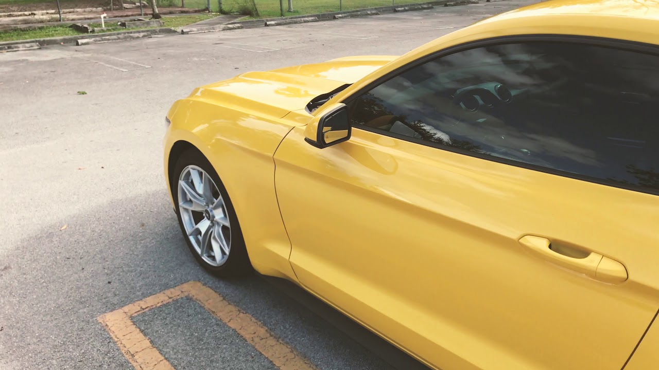 2015 Ford Mustang 50 Year Anniversary Appearance EcoBoost Premium Long Term Review