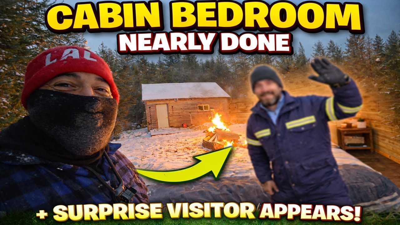 CABIN GOT A NEW POWER UPGRADE + SURPRISE VISITOR APPEARS FOR THE FIRST TIME