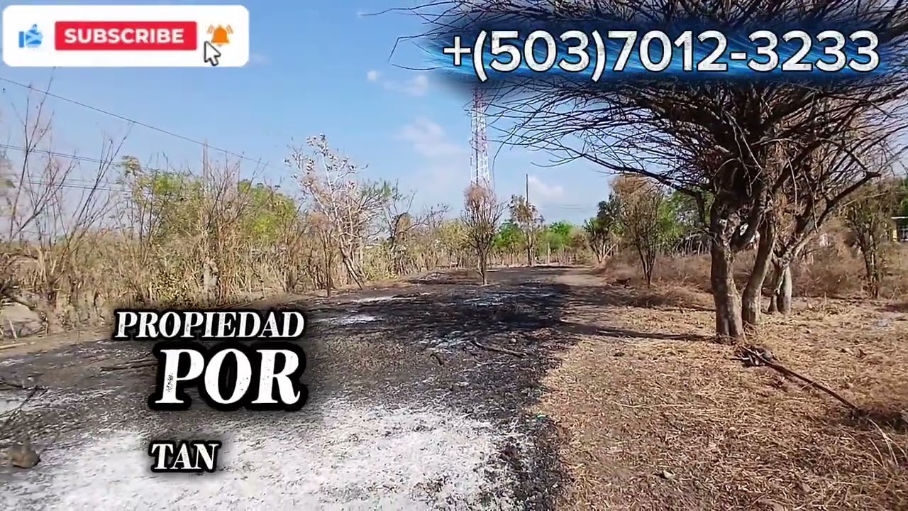 BONITA PARCELA EN EL GRIFAL!! POR SOLO $26 MIL DOLARES FIJOS 👈EXELENTE UBICACION 👌 A MEDIA CUADRA 🛣
