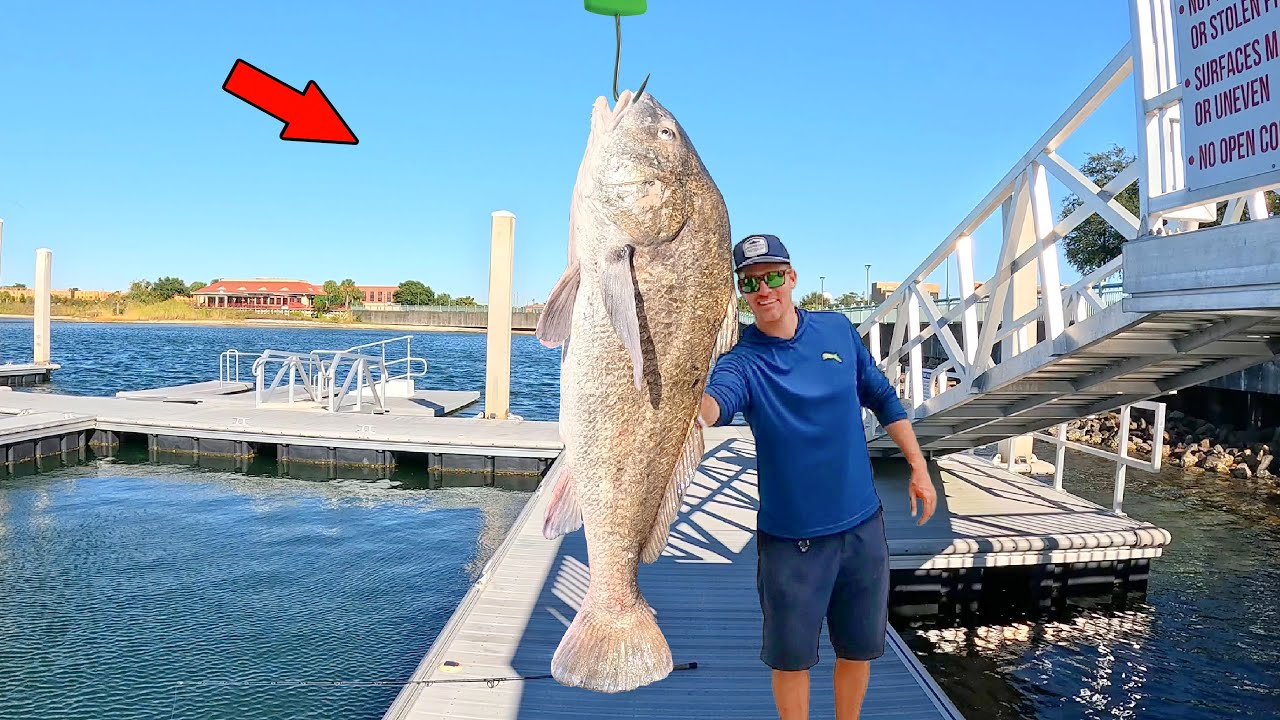 Trophy Size Black Drum Catch, Clean, & Cook Like You've Never Seen Before!