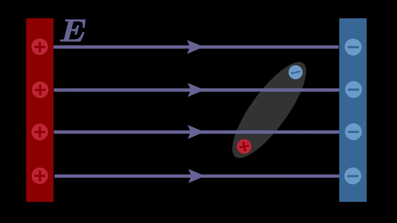 Electric dipole animation