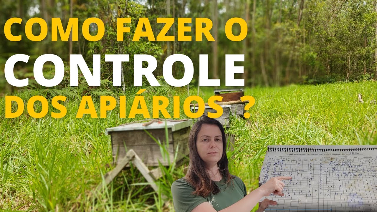COMO FAZER O CONTROLE DOS APIÁRIOS -  PLANILHA DE CONTROLE 