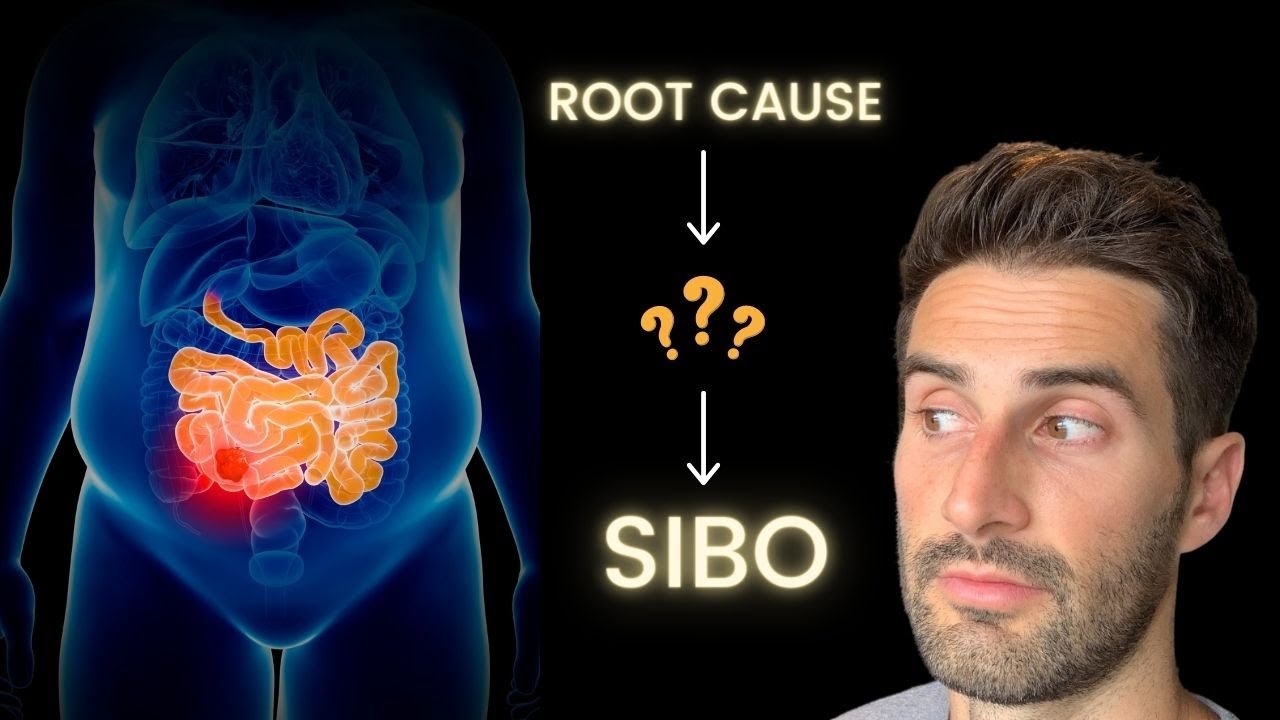 The 4 Specific Problems that can lead to SIBO