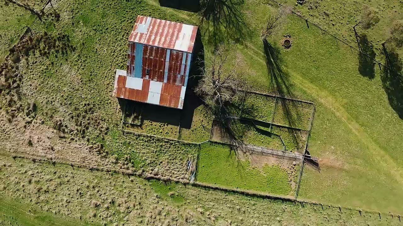 Trevlyn - Forest Reefs,  via Orange - Central West, NSW