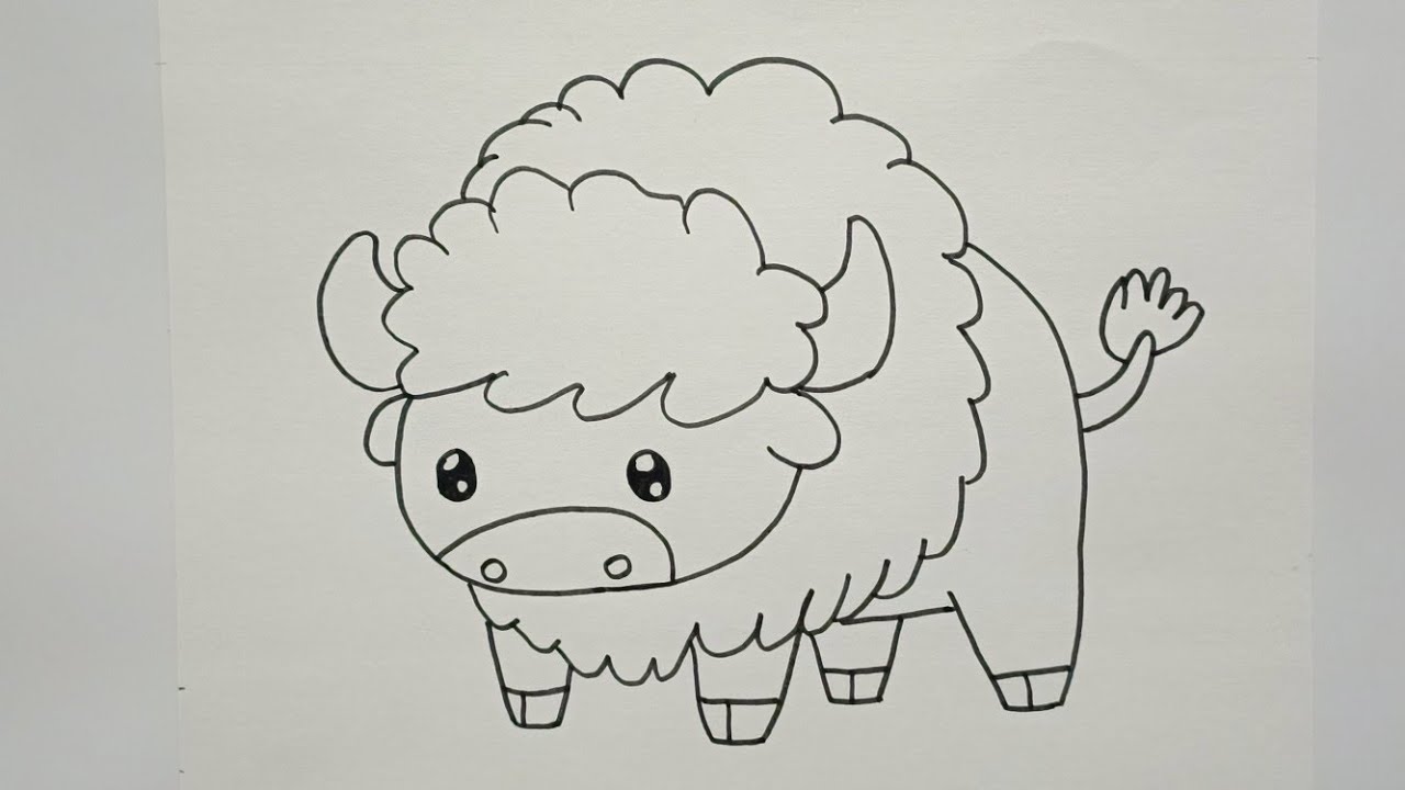 American Bison Drawing | Bison Drawing