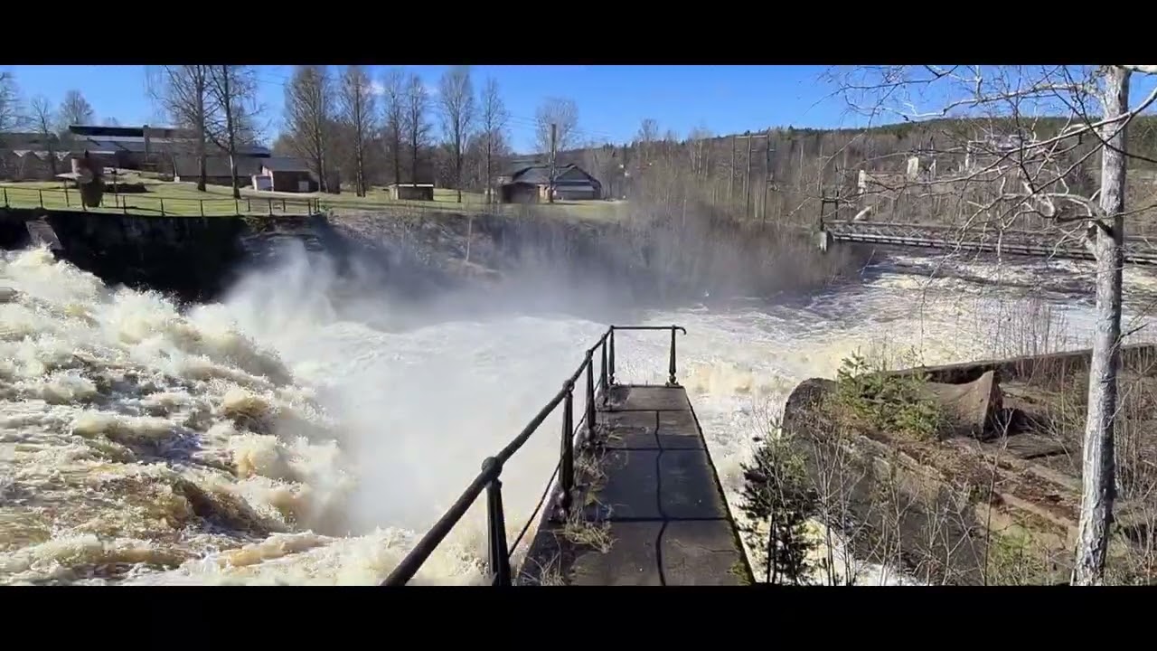 Forsar i klar&auml;lven