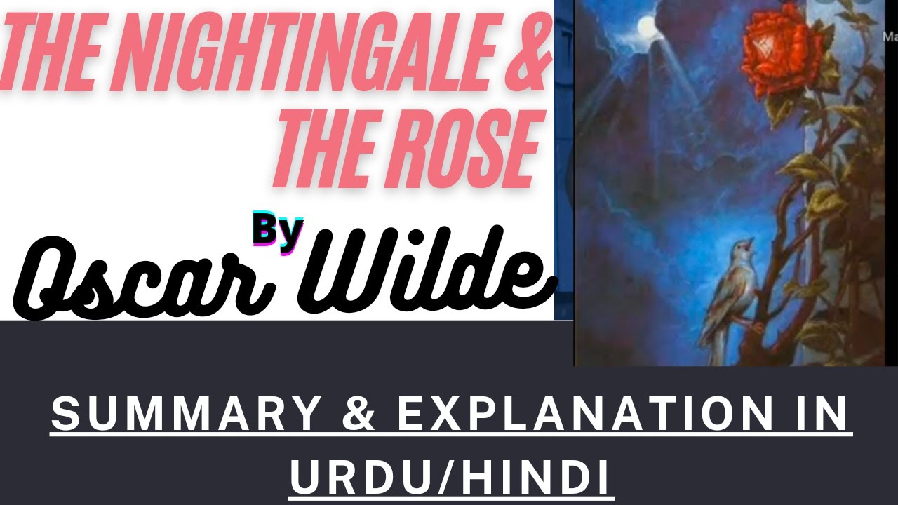 The Nightingale and the Rose Summary & Explanation || The Nightingale and the Rose by Oscar Wilde