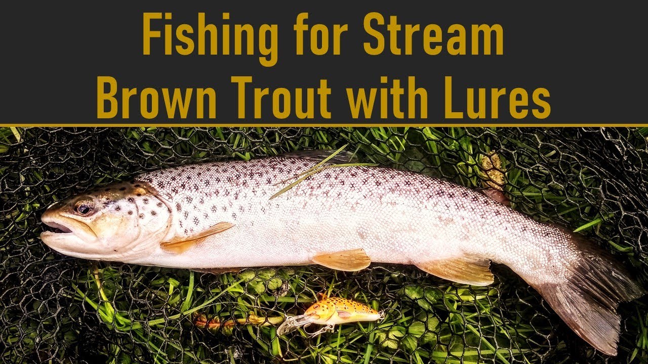 Fishing for Stream Brown Trout with Lures: River Foss Fishing - Ep. 44