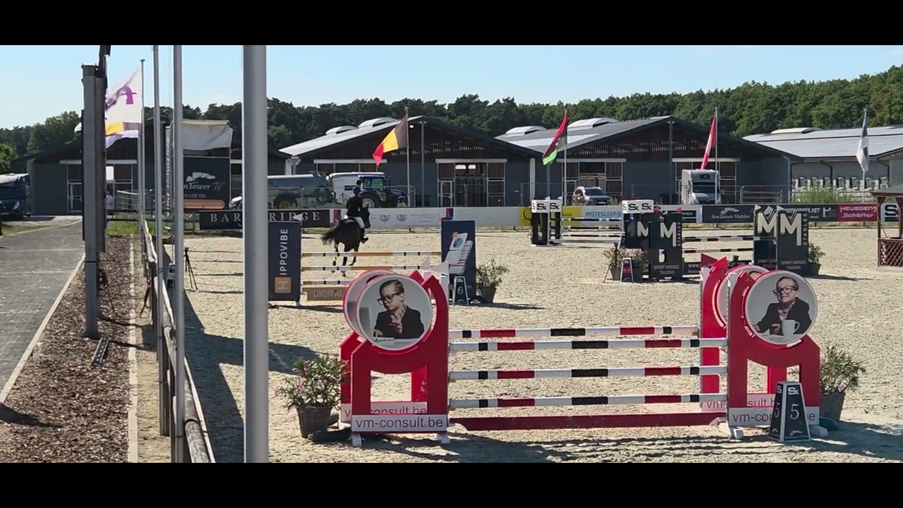 Cupcake Prova Z (H&M Chilli Willi x Balou Du Rouet, 2020) clear in sliver 1.15m small tour final