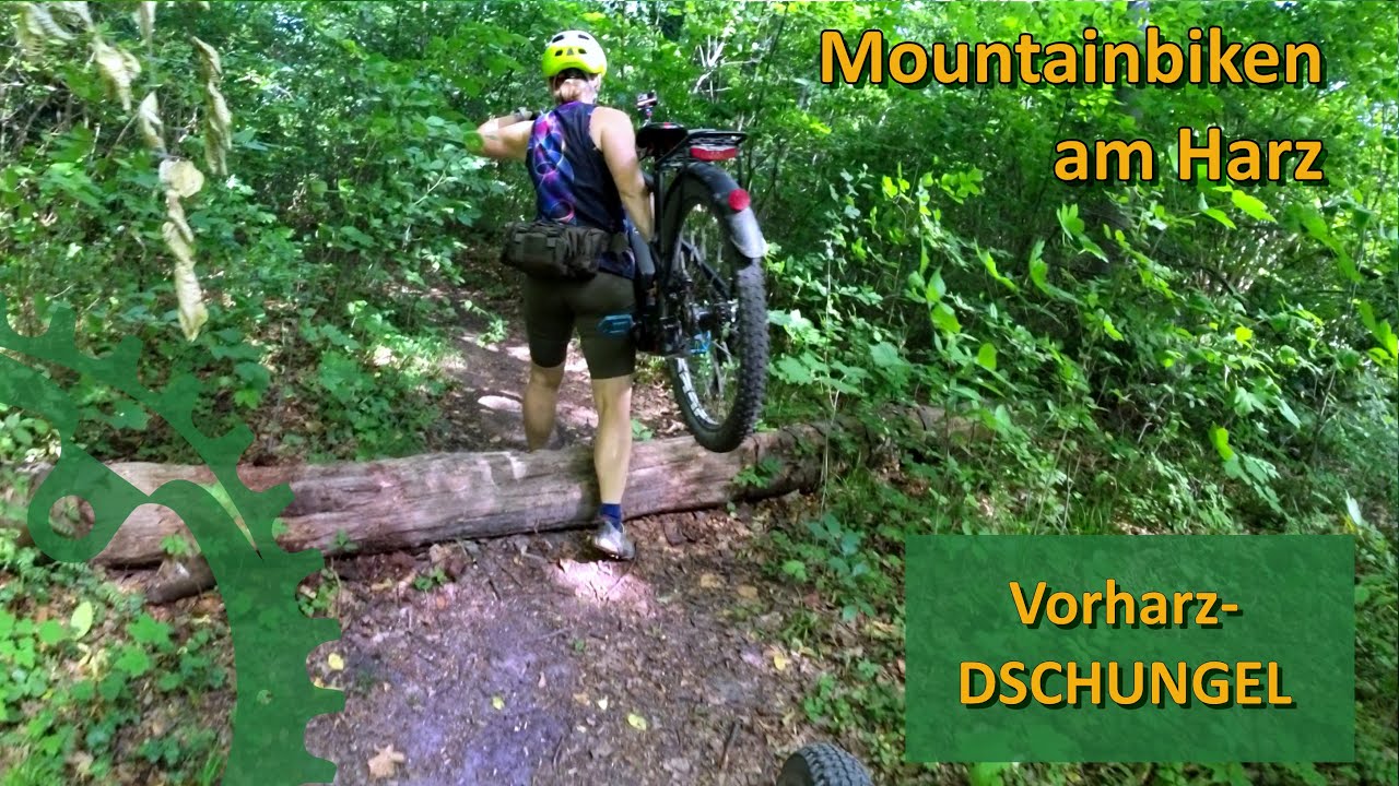 Durch den grünen Dschungel! EMTB & MTB bei Goslar & Liebenburg