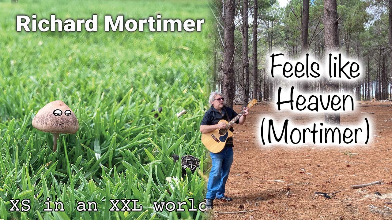 Feels like heaven (Mortimer) Playing live at the Wanneroo Pines, 3rd Feb 2026