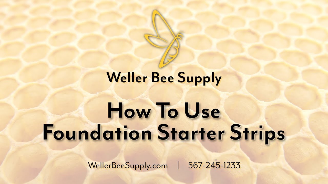 How to Use Foundation Starter Strips and Checkerboarding Your Frames