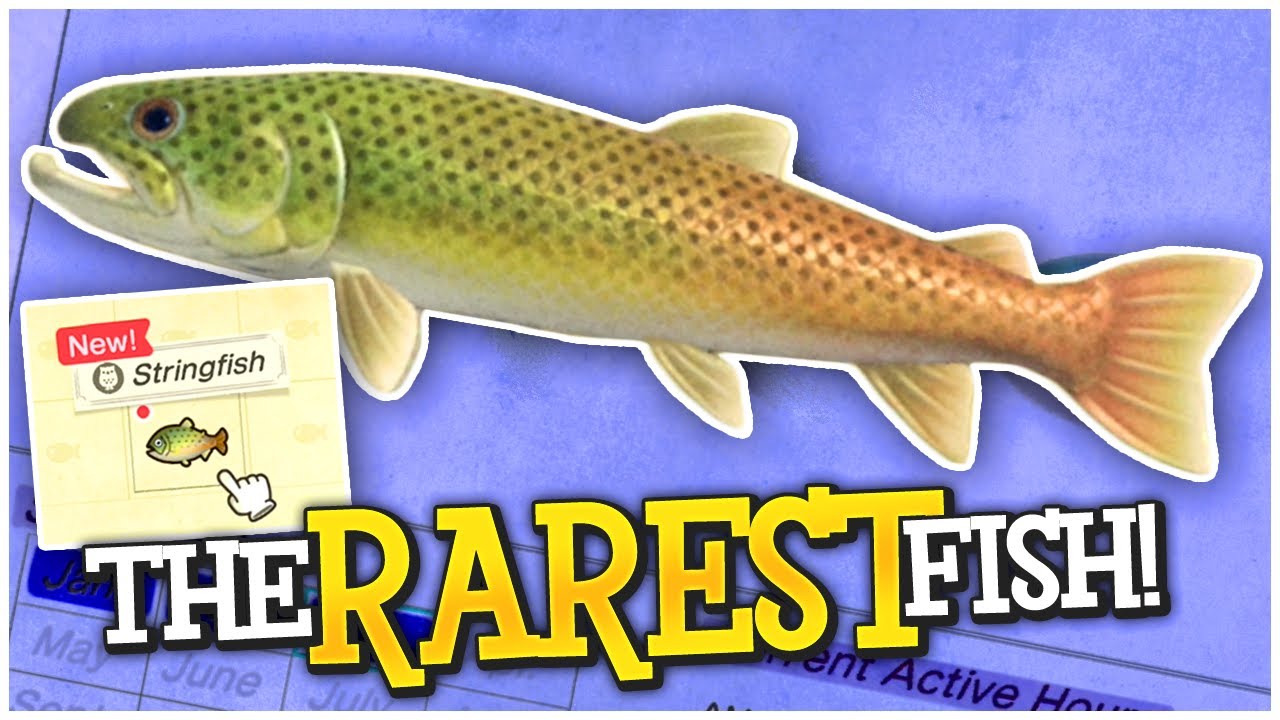 Journey For The Stringfish - How To Catch The RAREST Fish In Animal Crossing New Horizons