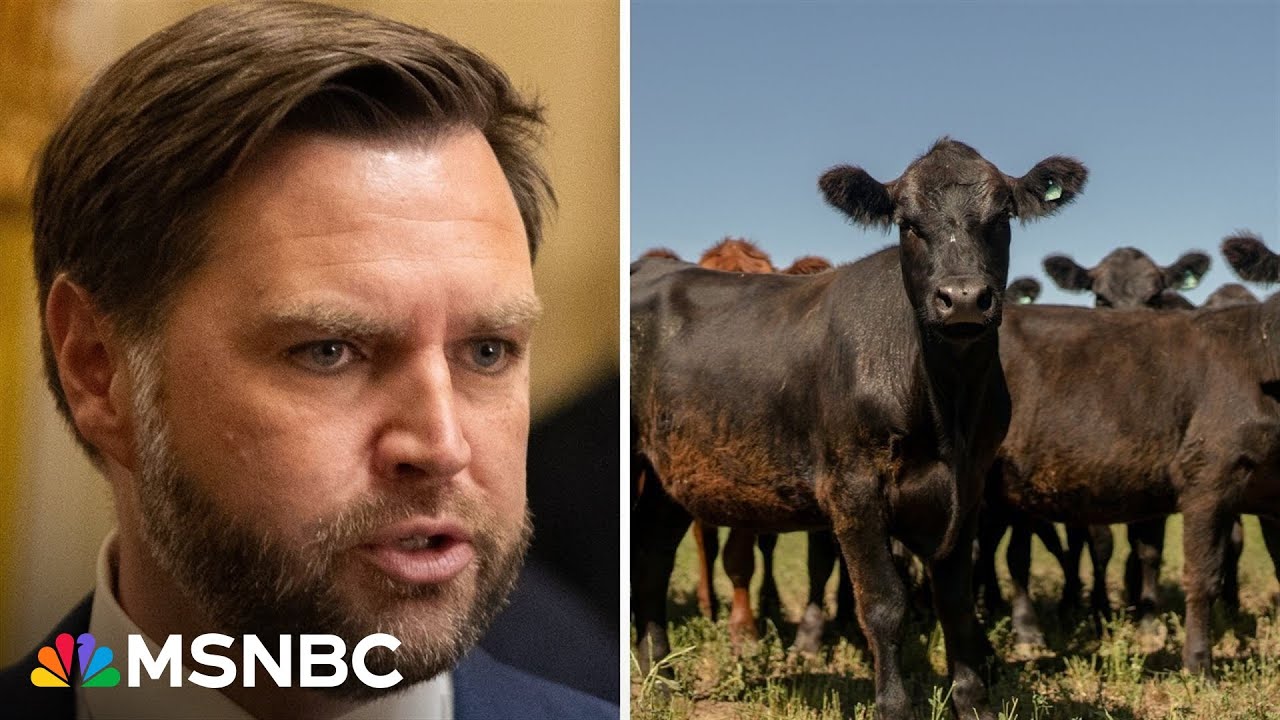 GOP senators confront VP Vance 'quite directly' about Argentine beef