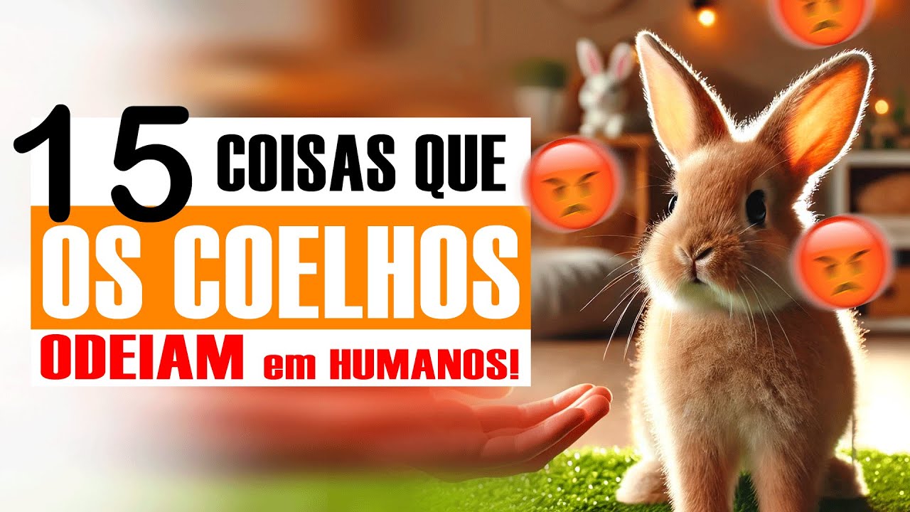 15 Coisas que os COELHOS ODEIAM nos humanos