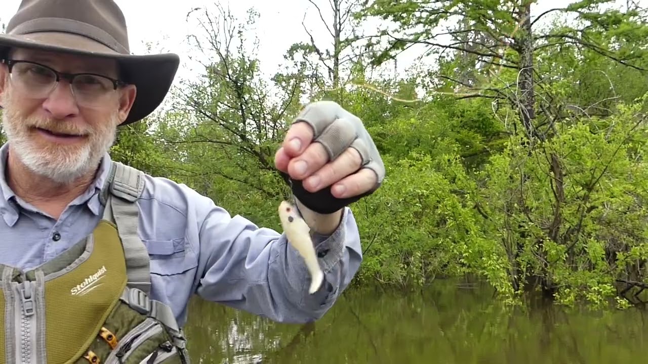 Paddling Sam Rayburn (fishing, alligator, birds and shore lunch)(May 7, 2025)