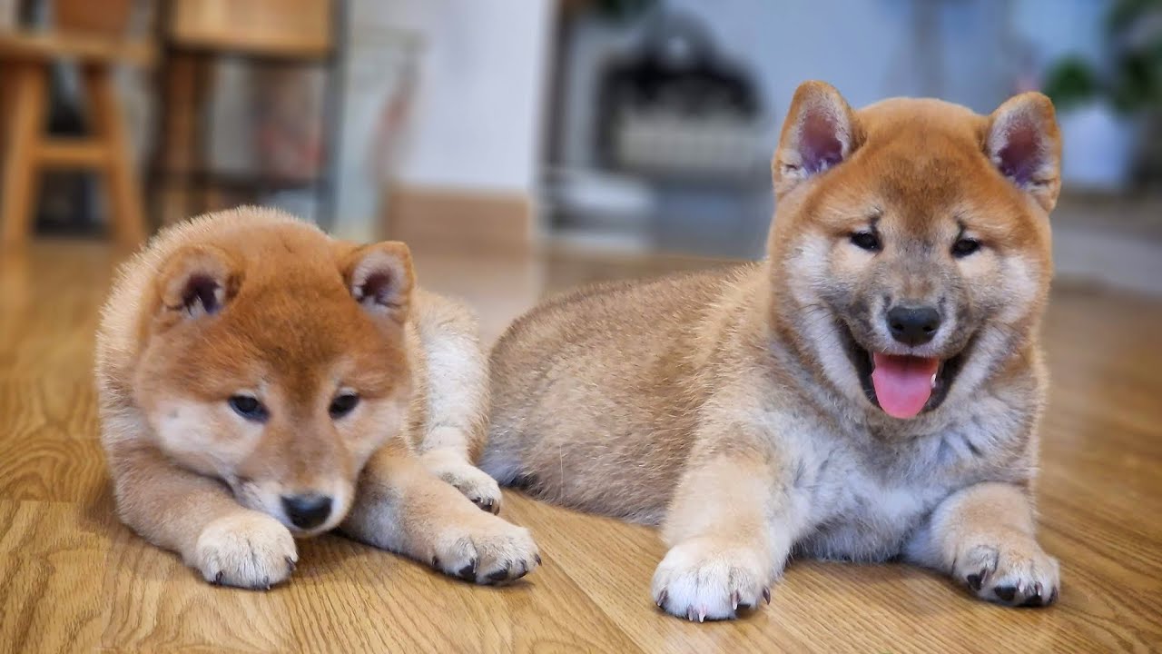 Last night spent all together ❤️💔