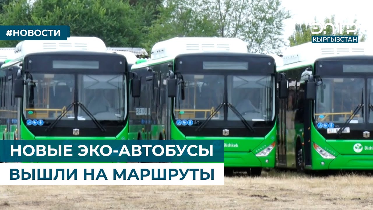 НОВЫЕ ЭКО-АВТОБУСЫ ВЫШЛИ НА МАРШРУТЫ