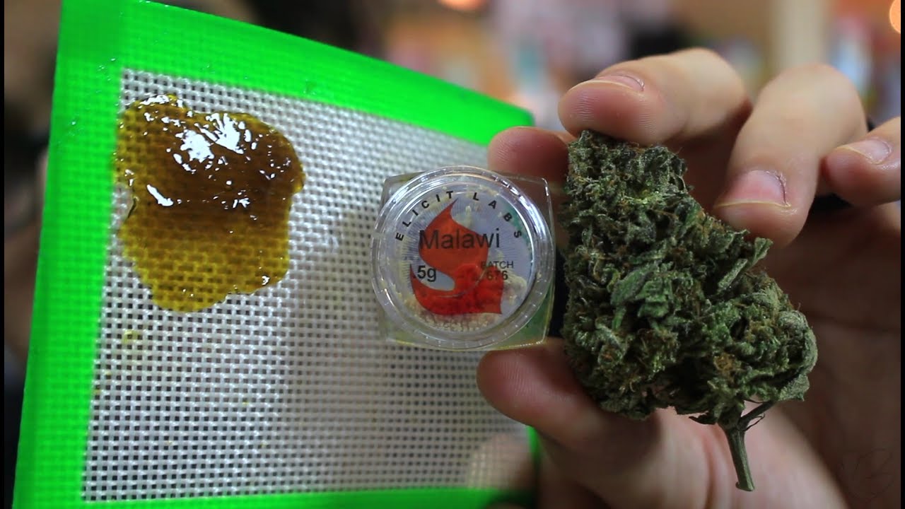 Daily Grind - Fantasy Bowl ft. Weed Budder and Shatter