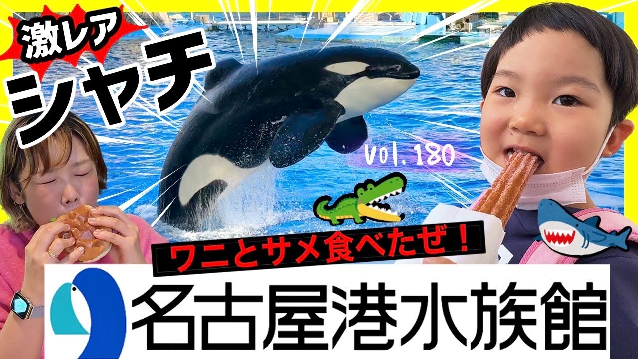 「名古屋港水族館」で珍料理を食べる！サメ・ワニ・イソギンチャク⭐️【ママさん似顔絵師Bon vol.180】シャチ/愛知テーマパーク/遊園地