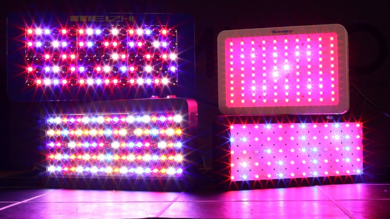 Amazon grow lights review | Best budget grow light from Amazon around &euro;100