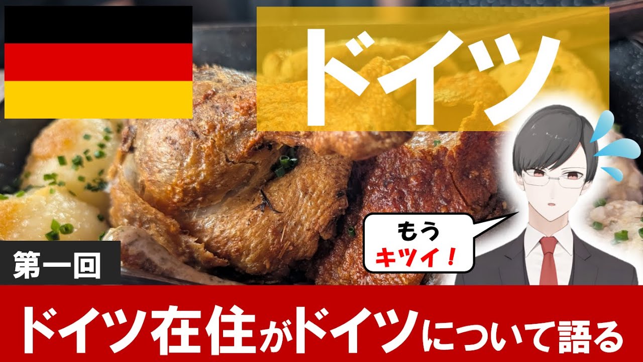 【第一回】ドイツ在住がドイツについて語る | ドイツ料理、観光、ノイシュバンシュタイン城など