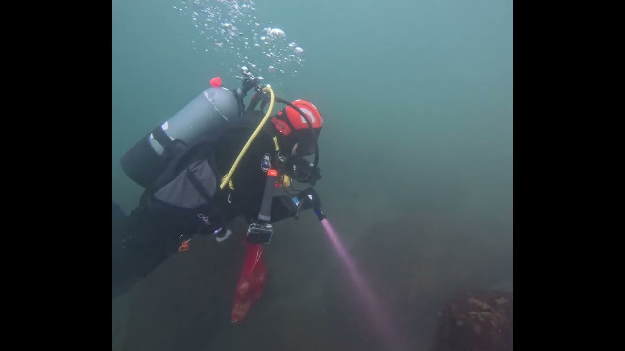 Central Oregon Diving's New Years Day Dive 2026.