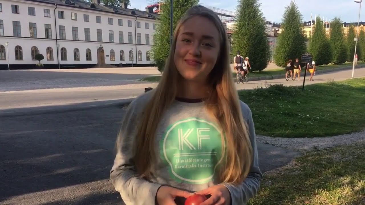 Klimatf&ouml;reningen (KF) Infopub HT20